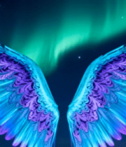 极光下的炫彩翅膀1047#横屏 