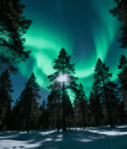 极光下的冬季森林1043#横屏 