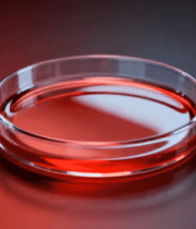 红色培养皿特写903#横屏 