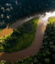 航拍雨林蜿蜒河流840#横屏 