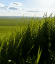 蜂窝上的彩色水珠520#横屏 