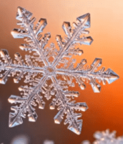 冬日雪林阳光路438#横屏 