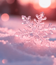 冬日雪花特写镜头433#横屏 