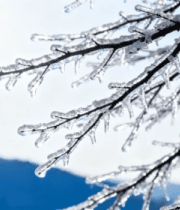 冬日冰挂树枝特写409#横屏 