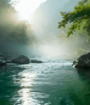 晨光薄雾溪流景观183#横屏 