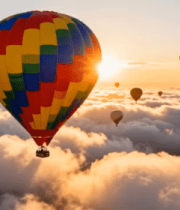 彩色狮子雕塑夜景101#横屏 