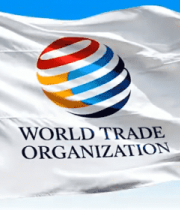 WTO飘扬视频素材10#横屏 