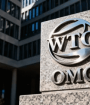 WTO标志特写9#横屏 