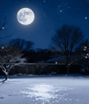 月夜下庭院雪景9041#横屏 