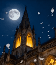 月夜下教堂花瓣飘落场景9054#横屏 