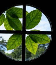 圆窗中绿叶与户外景色5137#横屏 
