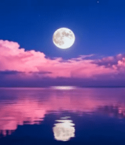 月夜湖面与粉色云霞景观2208#横屏 