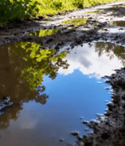 雨后林间泥泞小路水洼景象7367#横屏 