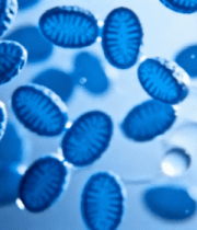 	 蓝色细胞微观展示素材8966#横屏 