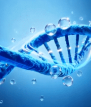 蓝色分子素材7010#横屏 