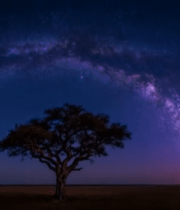 	 旷野星空下的孤树夜景6834#横屏 