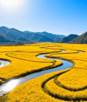 油菜花田河流与远山风景3102#横屏 