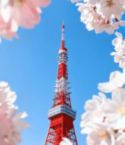 樱花环绕下的东京塔6320#横屏 