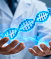 	 科研人员展示模型13547#横屏 