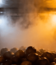 烤箱内烤制大量果实11819#横屏 