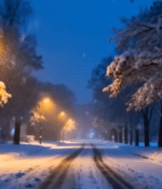 夜晚雪中路旁街景6390#横屏 