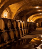 酒窖内排列整齐的酒桶14405#横屏 