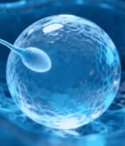 精子与卵细胞结合医学素材9941#横屏 