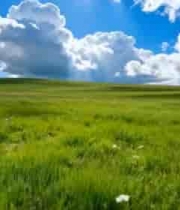 广阔草原蓝天白云风景816#横屏 