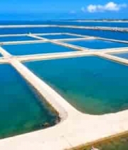 海边水产养殖池俯拍景象3236#横屏 