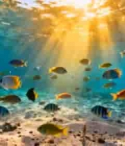 海底鱼群与阳光景象4652#横屏 