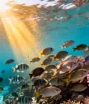 海底鱼群与珊瑚景观素材3928#横屏 