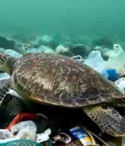 海龟身处海洋垃圾环境2900#横屏 