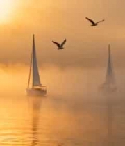 海上日出帆船海鸥景象2721#横屏 