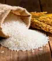 麻袋大米与稻穗特写747#横屏 