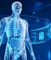 人体骨骼与内脏展示素材972#横屏 