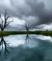 水边枯树与阴云自然风光3195#横屏 