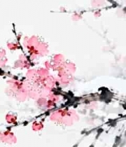 水墨风格雪中绽放的花朵2439#横屏 