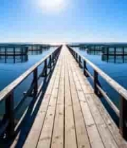 水上木质栈道及水产养殖网箱3900#横屏 