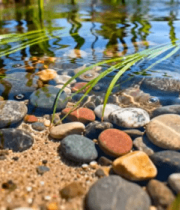 清澈溪流中的多彩石头与水草14649#横屏 