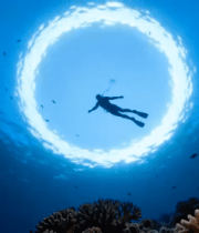 潜水员海底珊瑚礁潜水画面5368#横屏 