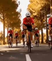 骑行者林间公路骑行画面13479#横屏 