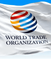 飘扬的世界贸易组织旗帜2260#横屏 