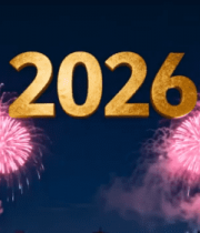 年新年烟花夜景22