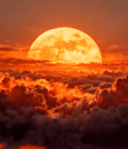 壮丽云海中的落日景观14501#横屏 