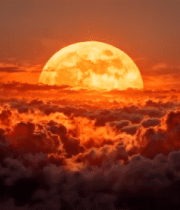 	 壮丽云海中的落日景观14501#横屏 