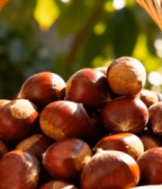 装满板栗的藤编篮子12861#横屏 