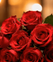 	 桌上红玫瑰与水晶酒杯13852#横屏 