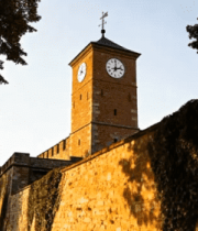 	 钟楼城墙与周边树木风景9219#横屏 