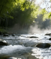 竹林中流淌的潺潺溪流1146#横屏 