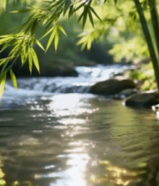 竹林中溪流自然风光11444#横屏 